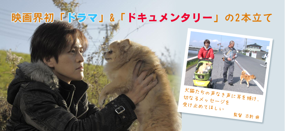 映画界初「ドラマ」&「ドキュメンタリー」の2本だて:犬猫たちの声なき声に耳を傾け、切なるメッセージを受け止めてほしい