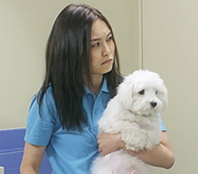 内藤 明日香役画像